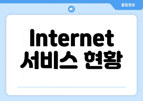 Internet 서비스 현황