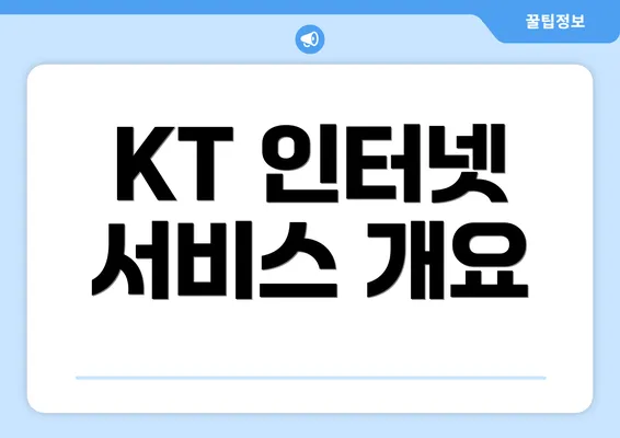 KT 인터넷 서비스 개요