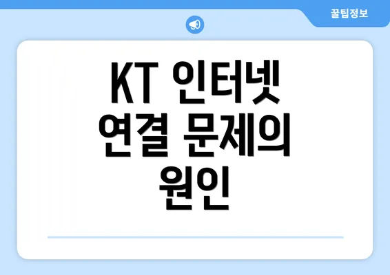 KT 인터넷 연결 문제의 원인