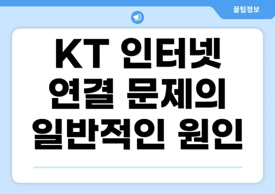 KT 인터넷 연결 문제의 일반적인 원인