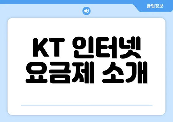 KT 인터넷 요금제 소개