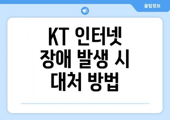 KT 인터넷 장애 발생 시 대처 방법