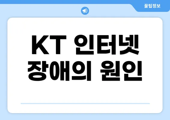 KT 인터넷 장애의 원인