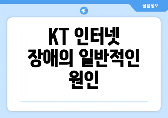 KT 인터넷 장애의 일반적인 원인