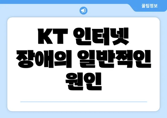 KT 인터넷 장애의 일반적인 원인