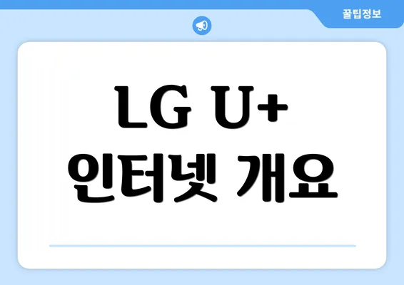 LG U+ 인터넷 개요