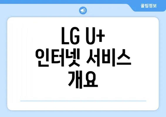 LG U+ 인터넷 서비스 개요