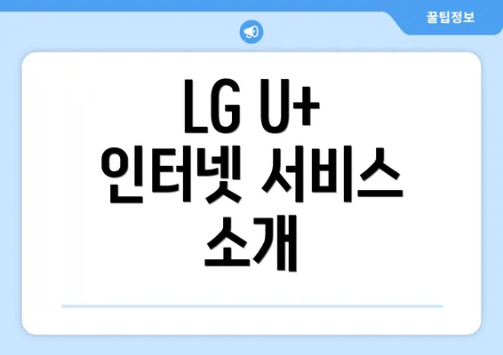 LG U+ 인터넷 서비스 소개