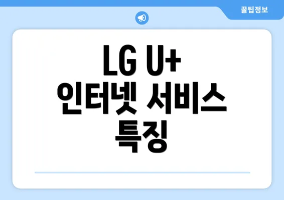 LG U+ 인터넷 서비스 특징