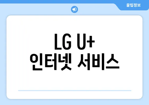 LG U+ 인터넷 서비스