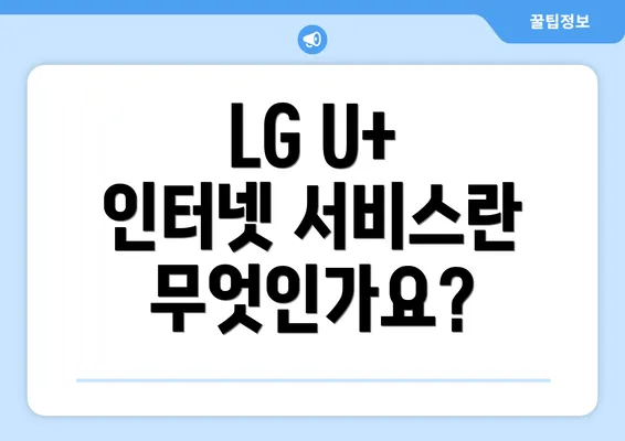 LG U+ 인터넷 서비스란 무엇인가요?