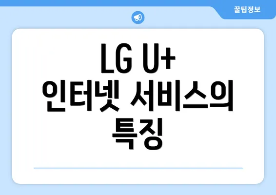 LG U+ 인터넷 서비스의 특징