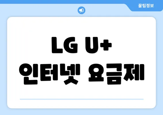 LG U+ 인터넷 요금제