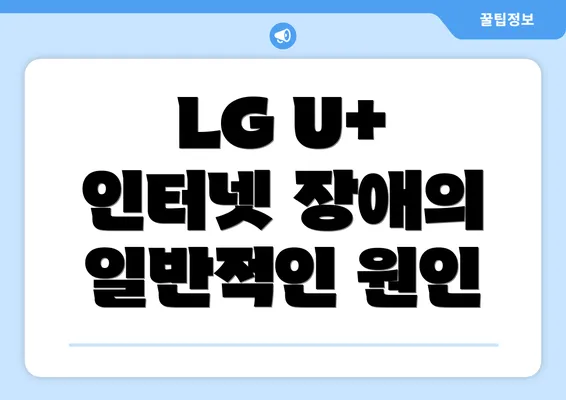 LG U+ 인터넷 장애의 일반적인 원인