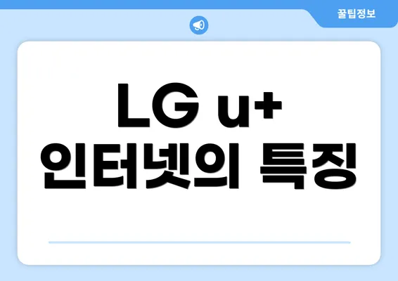 LG u+ 인터넷의 특징