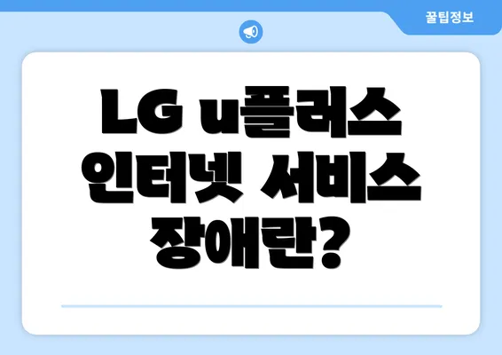 LG u플러스 인터넷 서비스 장애란?