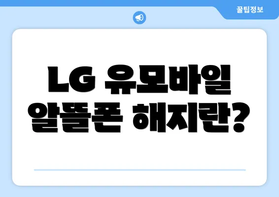 LG 유모바일 알뜰폰 해지란?