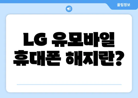 LG 유모바일 휴대폰 해지란?