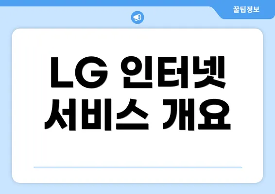 LG 인터넷 서비스 개요