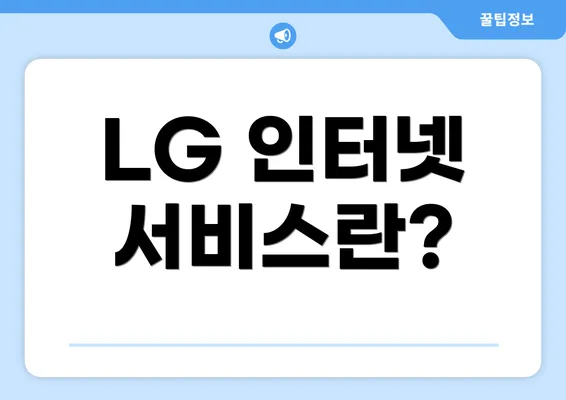 LG 인터넷 서비스란?