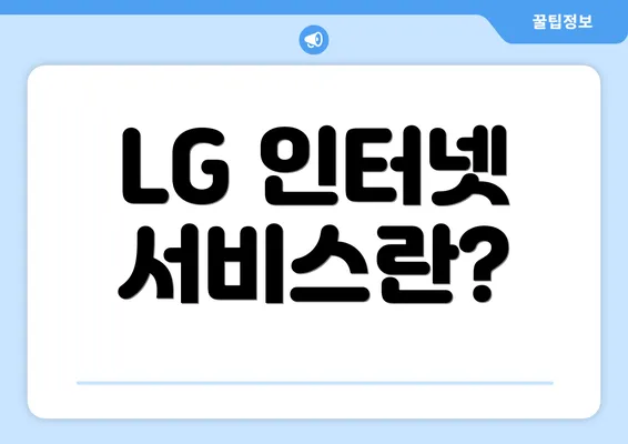 LG 인터넷 서비스란?