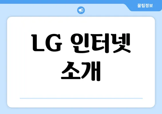 LG 인터넷 소개