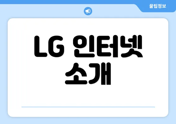 LG 인터넷 소개