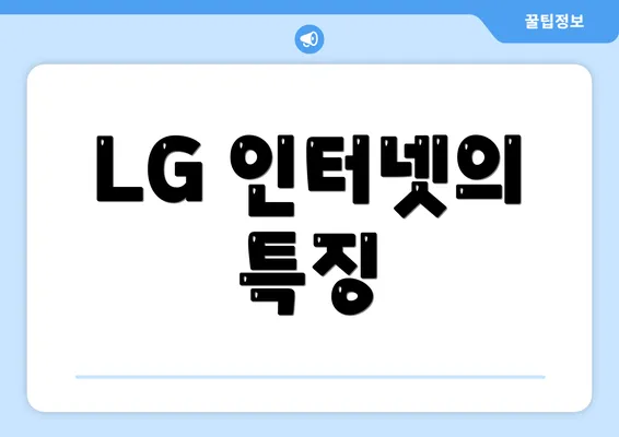 LG 인터넷의 특징