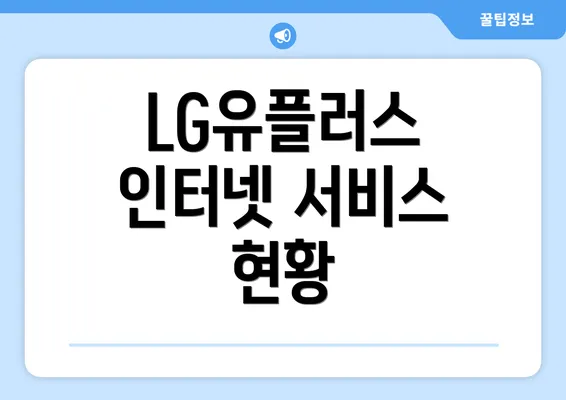 LG유플러스 인터넷 서비스 현황