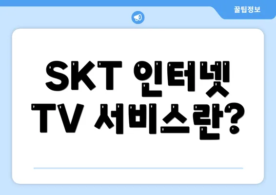 SKT 인터넷 TV 서비스란?