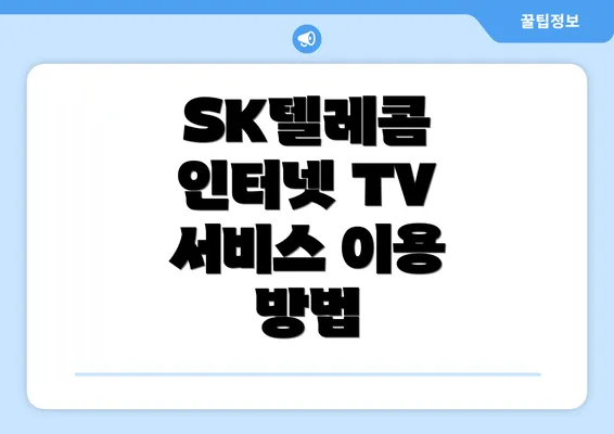 SK텔레콤 인터넷 TV 서비스란?