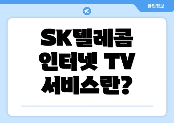 SK텔레콤 인터넷 TV 서비스란?