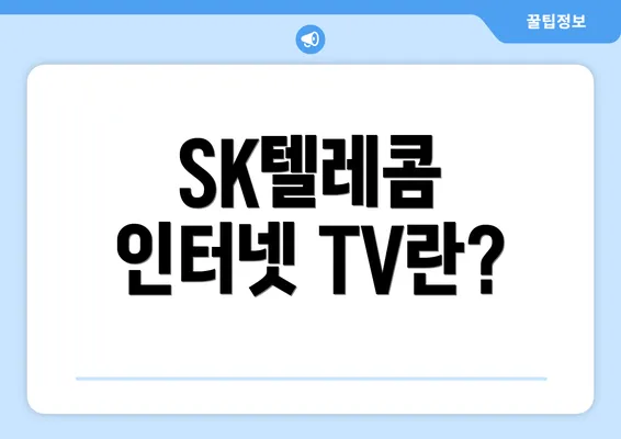 SK텔레콤 인터넷 TV란?