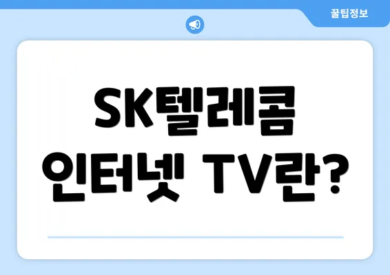 SK텔레콤 인터넷 TV란?