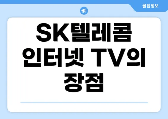 SK텔레콤 인터넷 TV의 장점