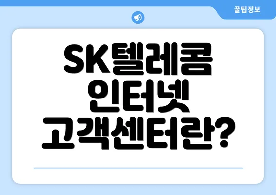 SK텔레콤 인터넷 고객센터란?