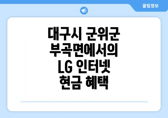 대구시 군위군 부곡면에서의 LG 인터넷 현금 혜택