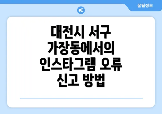 대전시 서구 가장동에서의 인스타그램 오류 신고 방법