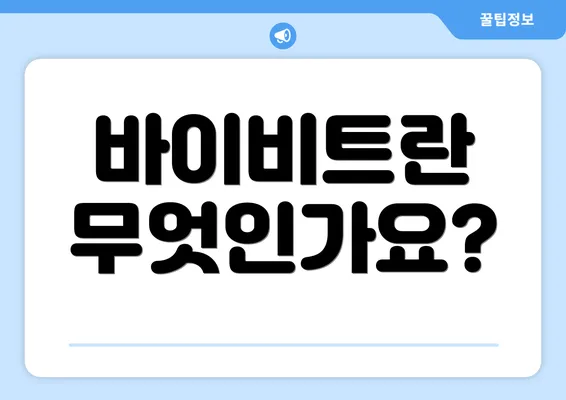 바이비트란 무엇인가요?