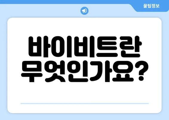 바이비트란 무엇인가요?