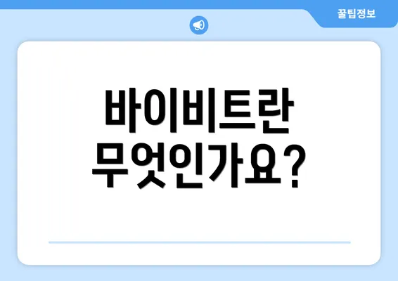 바이비트란 무엇인가요?