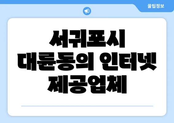 서귀포시 대륜동의 인터넷 제공업체