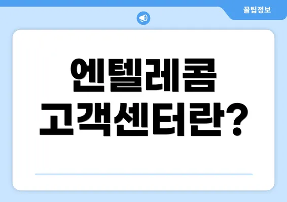 엔텔레콤 고객센터란?