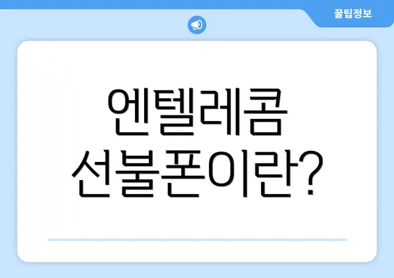 엔텔레콤 선불폰이란?