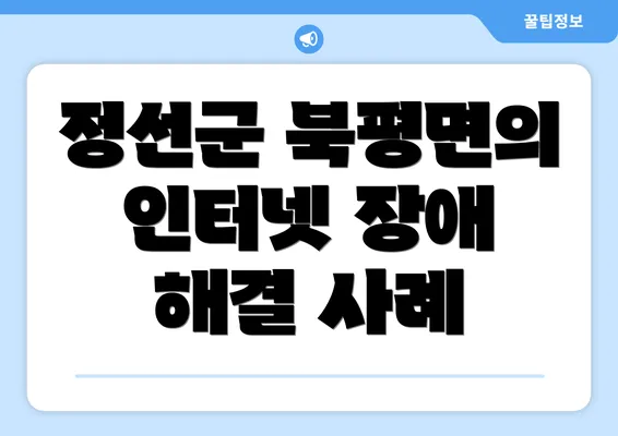 정선군 북평면의 인터넷 장애 해결 사례