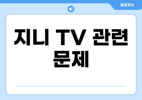 지니 TV 관련 문제