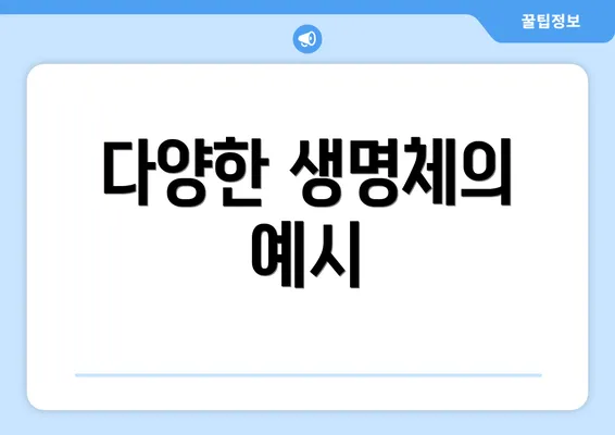 다양한 생명체의 예시