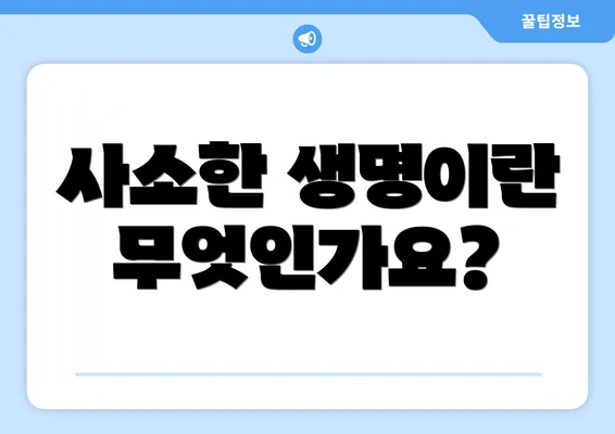 사소한 생명이란 무엇인가요?