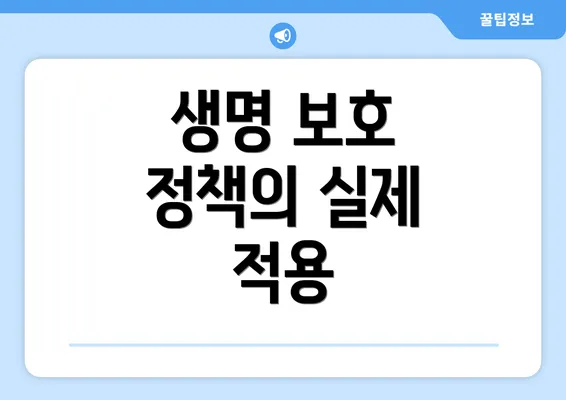 생명 보호 정책의 실제 적용
