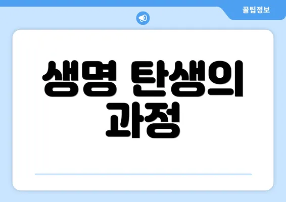 생명 탄생의 과정